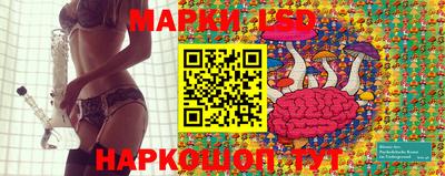 крисы Заводоуковск