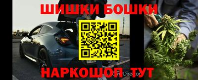 крисы Заводоуковск