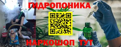крисы Заводоуковск