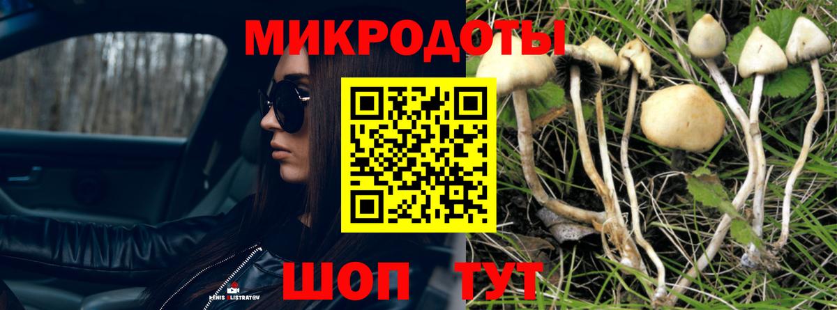 Галлюциногенные грибы GOLDEN TEACHER Лесной