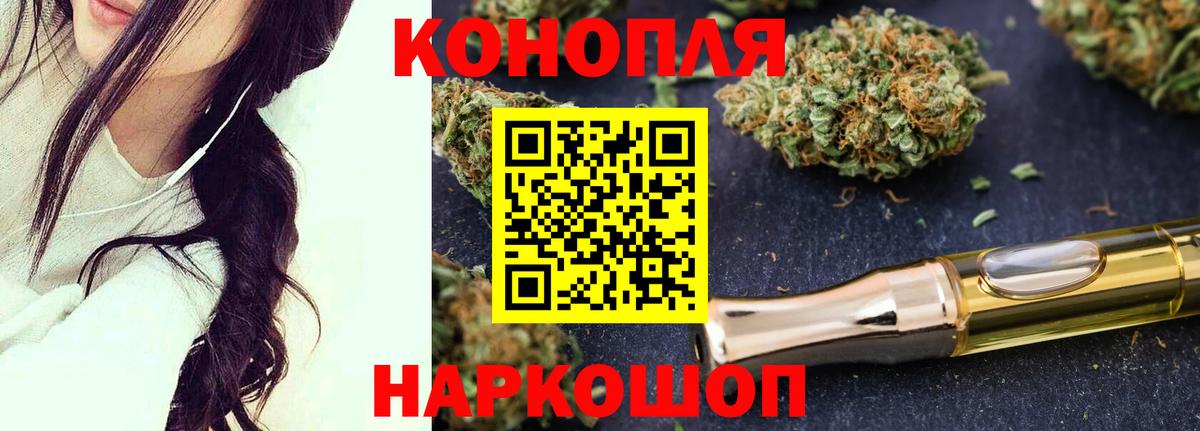 Бошки Шишки семена  Каннабис сатива  Лесной  Вход с VPN 